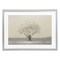 Stupell Industries Neutral Radiance Tree Framed Print Under Glass, design by Michael Marcon